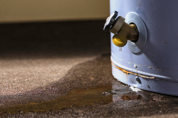 Best Ceiling water damage repair  in Coal Valley, IL