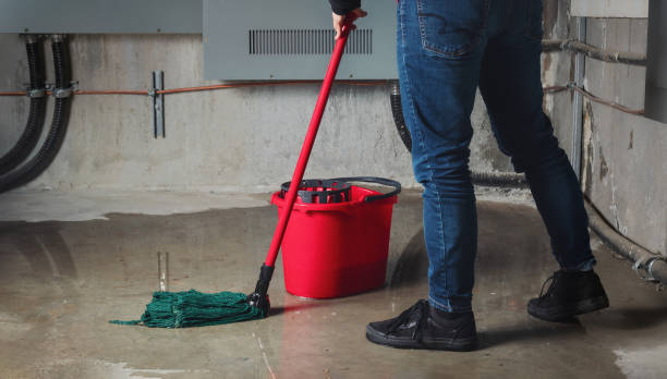 Best Carpet water damage restoration  in Coal Valley, IL