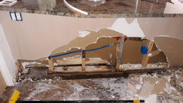 Best Water damage contractors near me  in Coal Valley, IL