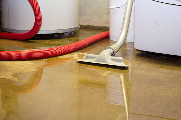 Trusted IL Water damage restoration Experts