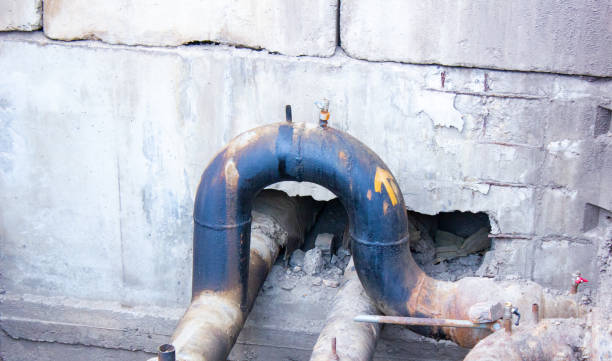 Best Water damage restoration near me  in Coal Valley, IL
