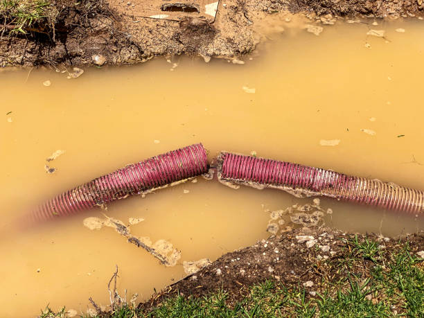 Local water damage restoration in IL